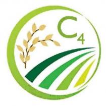 C4 及圖