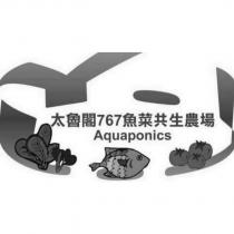 767 魚菜共生農場 Aquaponics 及圖