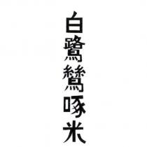 白鷺鷥啄米