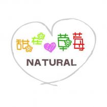 甜在草莓及 NATURAL 設計圖