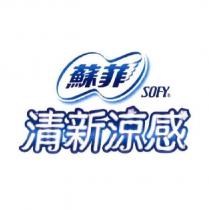 蘇菲 SOFY 清新涼感