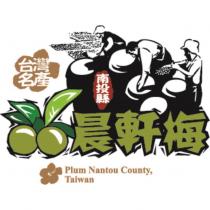晨軒梅 台灣名產 南投縣 Plum Nantou County Taiwan 及圖
