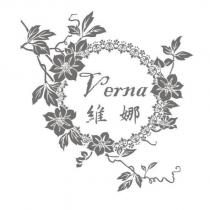 維娜 verna 及圖