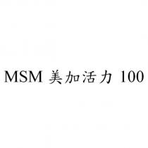 MSM 美加活力 100