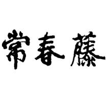 常春藤
