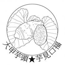 大甲芋頭 芋見口福及圖