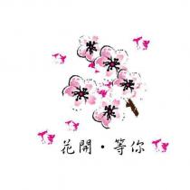 花開.等你及圖