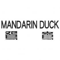鴛鴦 MANDARIN DUCK
