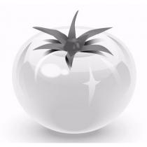 TOMATO LOGO