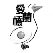 愛蘭橋及圖
