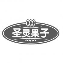 聖靈果子及圖