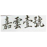 嘉雲壹號