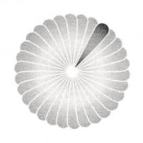 Daily Benefits Flower Logo