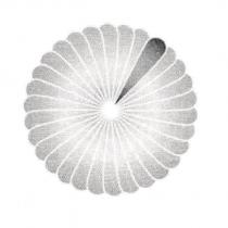 Daily Benefits Flower Logo