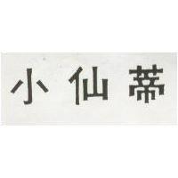 小仙蒂