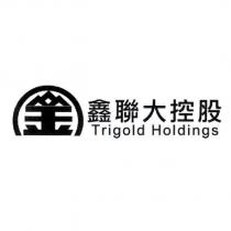 鑫聯大控股 TRIGOLD HOLDINGS 及設計字