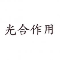 光合作用