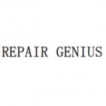 REPAIR GENIUS