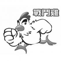 戰鬥雞及圖