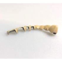 林泰武醫師假牙齒外冠立體商標