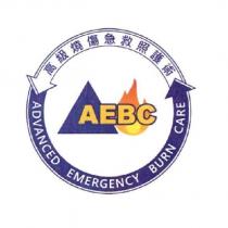 AEBC 高級燒傷急救照護術 ADVANCED EMERGENCY BURN CARE 及圖