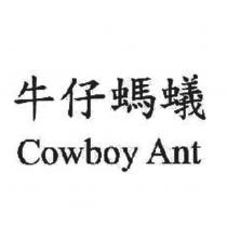 牛仔螞蟻 Cowboy Ant