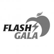 FLASH GALA Logo