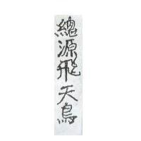 總源飛天鳥