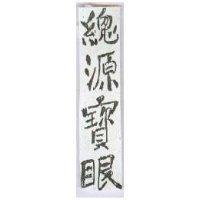 總源寶眼