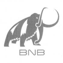 BNB 及圖
