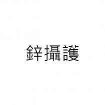 鋅攝護
