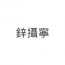 鋅攝寧