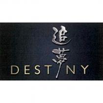 DESTINY 追夢