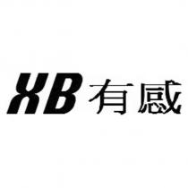 XB 有感