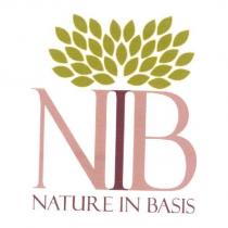 NIB NATURE IN BASIS 及圖