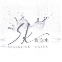 SK 氣泡水 SPARKLING WATER 及圖
