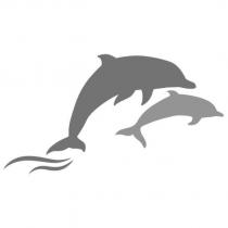 海豚圖