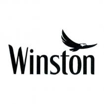 WINSTON AND DEVICE XX