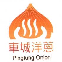 車城洋蔥 Pingtung Onion 及圖