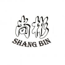 尚彬 SHANG BIN