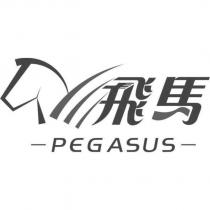 飛馬 PEGASUS 及圖