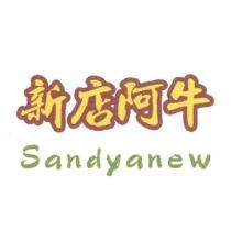新店阿牛 sandyanew