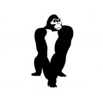 GORILLA device