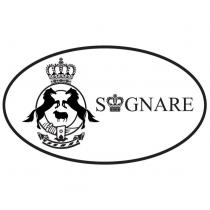 S GNARE 及圖