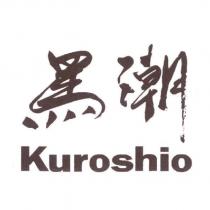 KUROSHIO 及黑潮字型圖