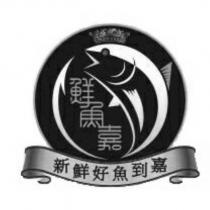 鮮魚嘉新鮮好魚到嘉設計圖