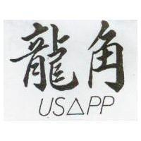 龍角 US PP 
