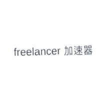 Freelancer 加速器