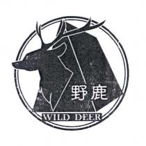 野鹿 WILD DEER 及圖
