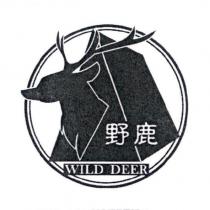 野鹿 WILD DEER 及圖
